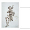 A Human Skeleton by James Ward