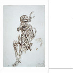 A Human Skeleton by James Ward