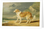 Rough-coated Collie, 1809 by James Ward