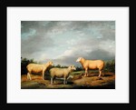 Ryelands Sheep, the King's Ram, the King's Ewe and Lord Somerville's Wether, c.1801-07 by James Ward