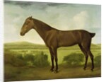Brown Horse in a Hilly Landscape, c.1780-1800 by English School