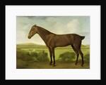Brown Horse in a Hilly Landscape, c.1780-1800 by English School