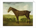 Brown Horse in a Hilly Landscape, c.1780-1800 by English School