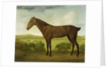 Brown Horse in a Hilly Landscape, c.1780-1800 by English School