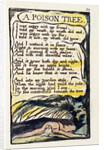 A Poison Tree by William Blake