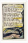 A Poison Tree by William Blake