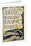 A Poison Tree by William Blake