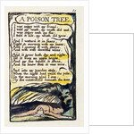 A Poison Tree by William Blake