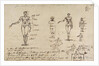 Studies of anatomy with measurements and writing by James Ward