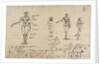Studies of anatomy with measurements and writing by James Ward