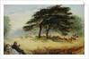 Lovers in Richmond Park by James Smetham