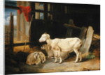 Heath Ewe and Lambs, 1810 by James Ward