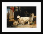Heath Ewe and Lambs, 1810 by James Ward