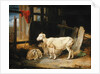 Heath Ewe and Lambs, 1810 by James Ward