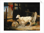 Heath Ewe and Lambs, 1810 by James Ward