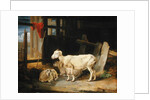 Heath Ewe and Lambs, 1810 by James Ward