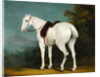 A Lady's Grey Hunter, c.1806 by Jacques-Laurent Agasse