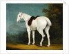 A Lady's Grey Hunter, c.1806 by Jacques-Laurent Agasse