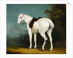A Lady's Grey Hunter, c.1806 by Jacques-Laurent Agasse