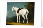 A Lady's Grey Hunter, c.1806 by Jacques-Laurent Agasse