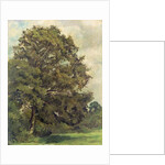 Study of an Ash Tree, c.1851 by Lionel Constable