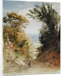 View from Rook's Hill, Kent, 1843 by Samuel Palmer