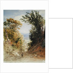 View from Rook's Hill, Kent, 1843 by Samuel Palmer