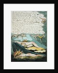 The shrill winds wake... by William Blake