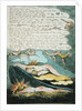 The shrill winds wake... by William Blake