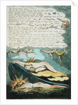 The shrill winds wake... by William Blake
