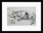 Sleeping Pig by James Ward