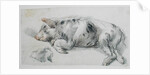 Sleeping Pig by James Ward