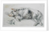 Sleeping Pig by James Ward