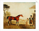 Sultan at the Marquess of Exeter's Stud, Burghley, 1826 by Lambert Marshall