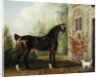 Lord Abergavenny's Dark Bay Carriage Horse with a Terrier, 1785 by Thomas Gooch