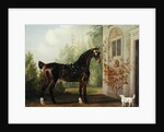 Lord Abergavenny's Dark Bay Carriage Horse with a Terrier, 1785 by Thomas Gooch