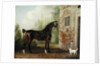 Lord Abergavenny's Dark Bay Carriage Horse with a Terrier, 1785 by Thomas Gooch