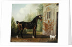 Lord Abergavenny's Dark Bay Carriage Horse with a Terrier, 1785 by Thomas Gooch