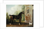Lord Abergavenny's Dark Bay Carriage Horse with a Terrier, 1785 by Thomas Gooch