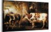 Portraits of two extraordinary oxen, the property of the Earl of Powis, 1814 by James Ward