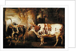 Portraits of two extraordinary oxen, the property of the Earl of Powis, 1814 by James Ward