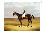 Margrave with James Robinson Up, 1833 by John Frederick Herring Snr