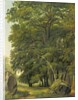 A Wooded Landscape by Ramsay Richard Reinagle