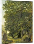 A Wooded Landscape by Ramsay Richard Reinagle
