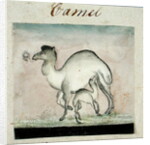 Mother Camel and her Calf by Gungaram Tambat