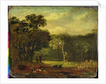 Sketch from Nature in Sion Park, 1819 by Samuel Palmer
