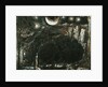 A Shepherd and his Flock under the Moon and Stars, c.1827 by Samuel Palmer