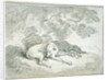 Greyhounds Asleep, by Thomas Rowlandson
