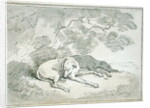 Greyhounds Asleep, by Thomas Rowlandson