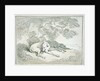 Greyhounds Asleep, by Thomas Rowlandson